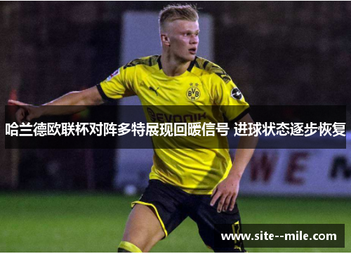 哈兰德欧联杯对阵多特展现回暖信号 进球状态逐步恢复