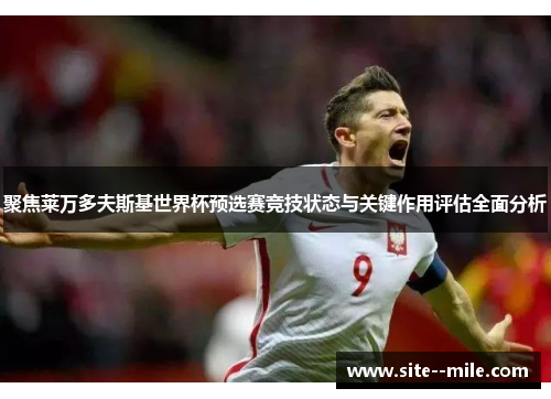 聚焦莱万多夫斯基世界杯预选赛竞技状态与关键作用评估全面分析
