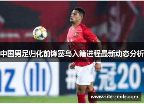 中国男足归化前锋塞鸟入籍进程最新动态分析