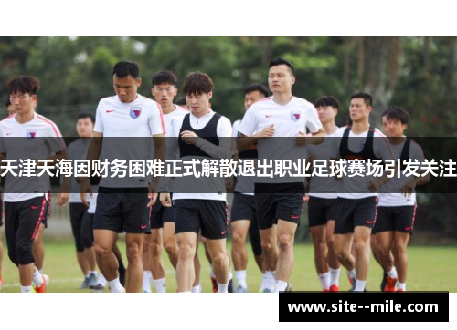 天津天海因财务困难正式解散退出职业足球赛场引发关注