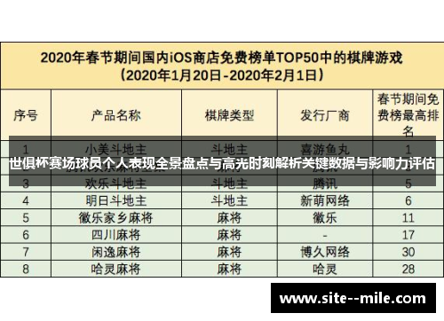 世俱杯赛场球员个人表现全景盘点与高光时刻解析关键数据与影响力评估