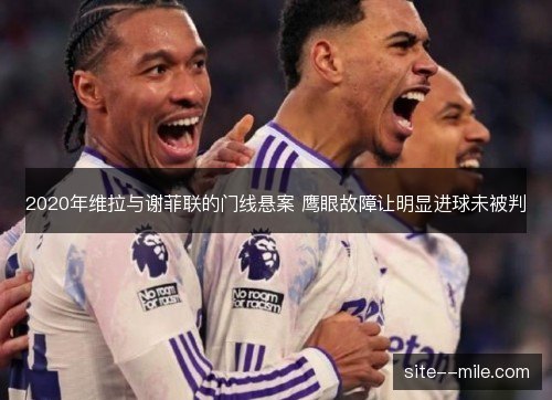 2020年维拉与谢菲联的门线悬案 鹰眼故障让明显进球未被判 2020年维拉与谢菲联的门线悬案 鹰眼故障让明显进球未被判